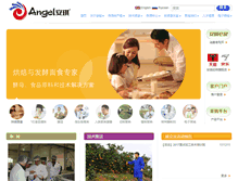 Tablet Screenshot of angelyeast.com